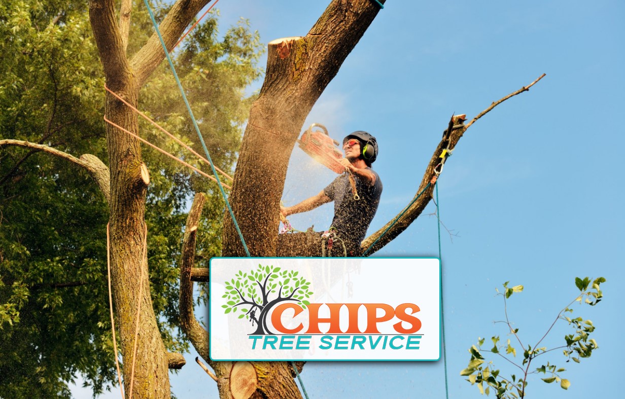 Careers Chips Tree Service
