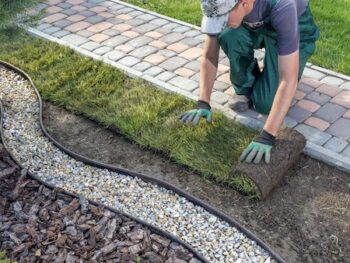 Sod Installation Phoenix Az