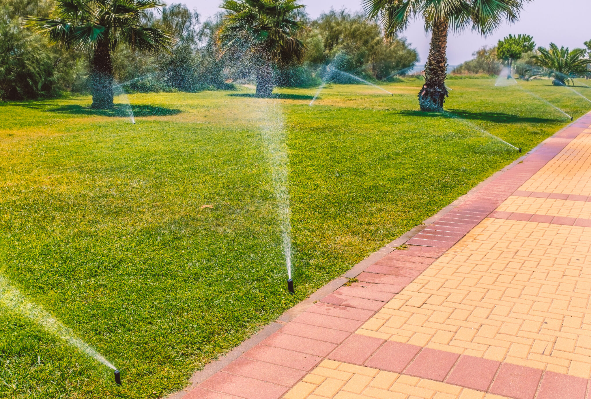 Sprinkler System Installation Phoenix AZ | Chips Tree Service
