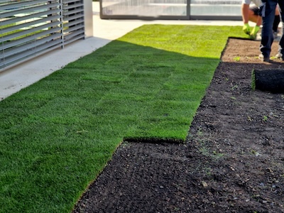 artificial turf phoenix