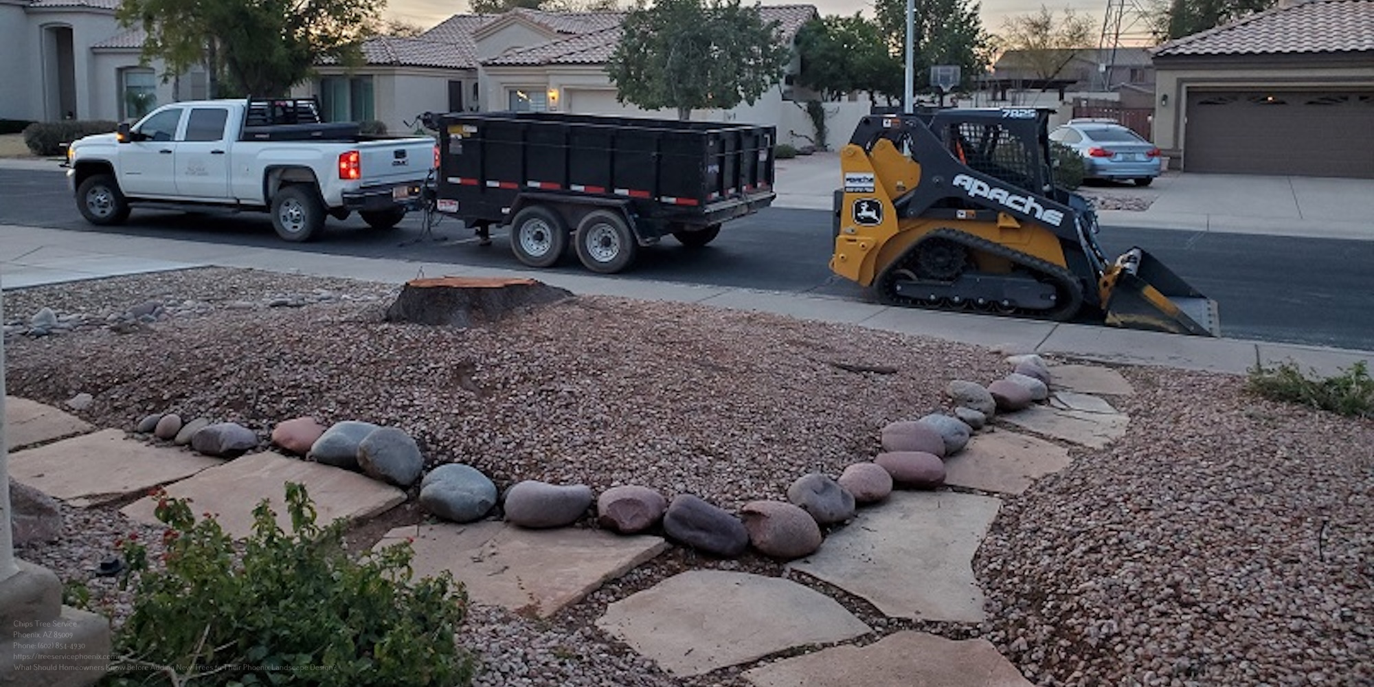 Tree Service Near Me Phoenix Az