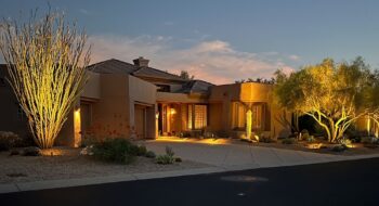 Tree Service Phoenix Az