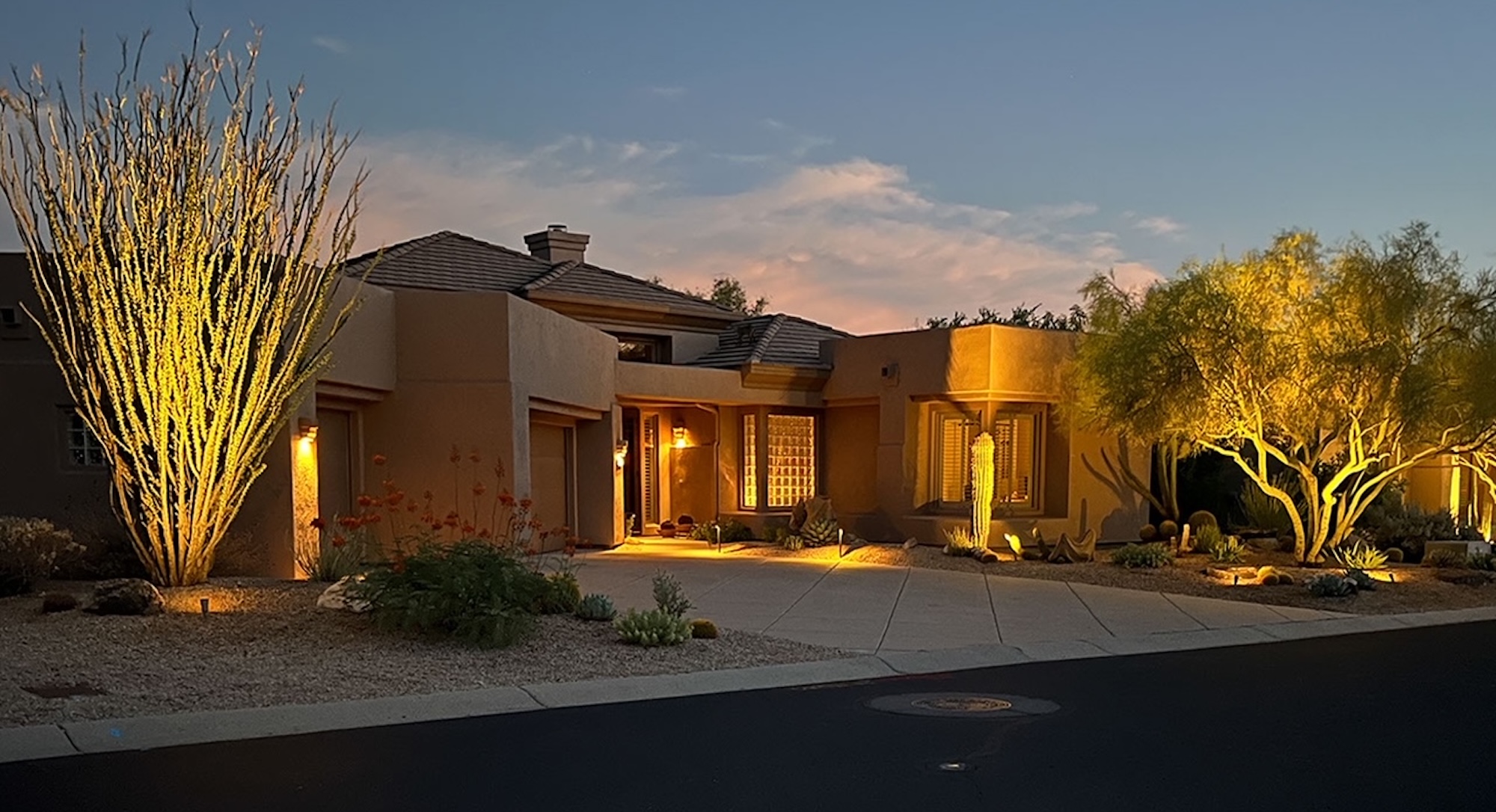 Tree Service Phoenix Az