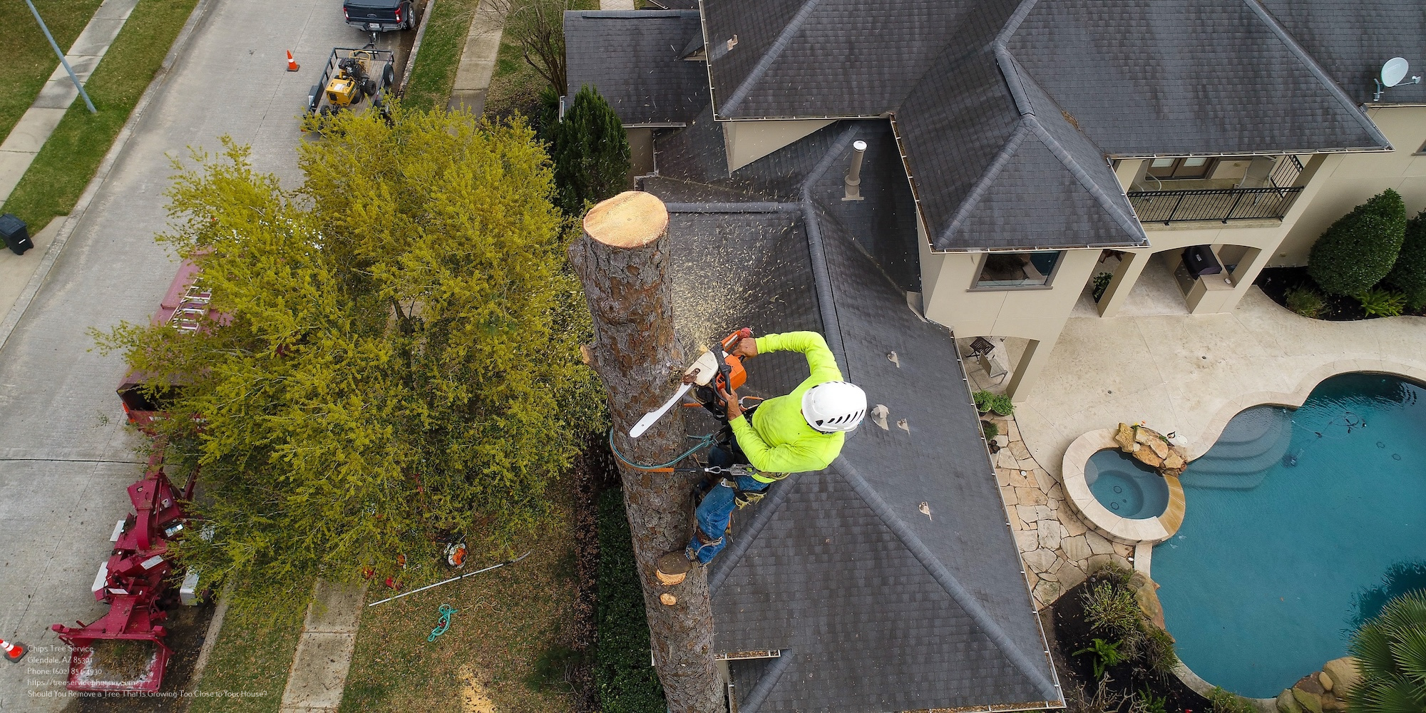 Tree Removal Near Me Phoenix AZ