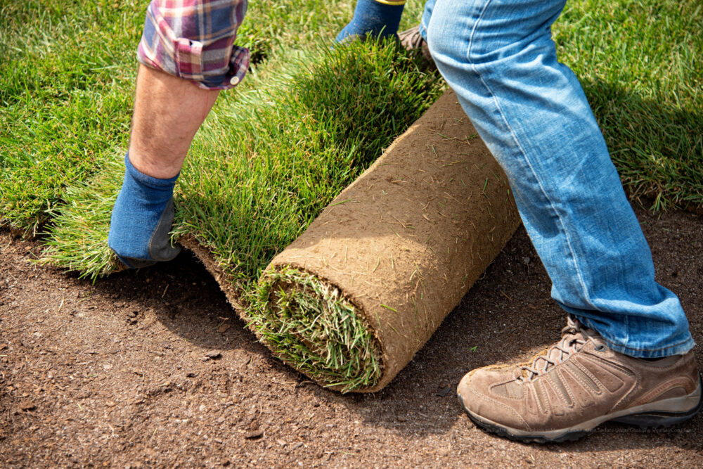 Turf Installation near me Phoenix